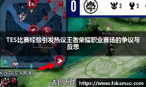 TES比赛经验引发热议王者荣耀职业赛场的争议与反思